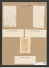 Amphora pulchra Grev. (de-Toni-Nr.: Genus 36, Species 1592) Zeichnungen Sammlung Grunow Nr. 3048 (NHMW-BOT-W0370444)